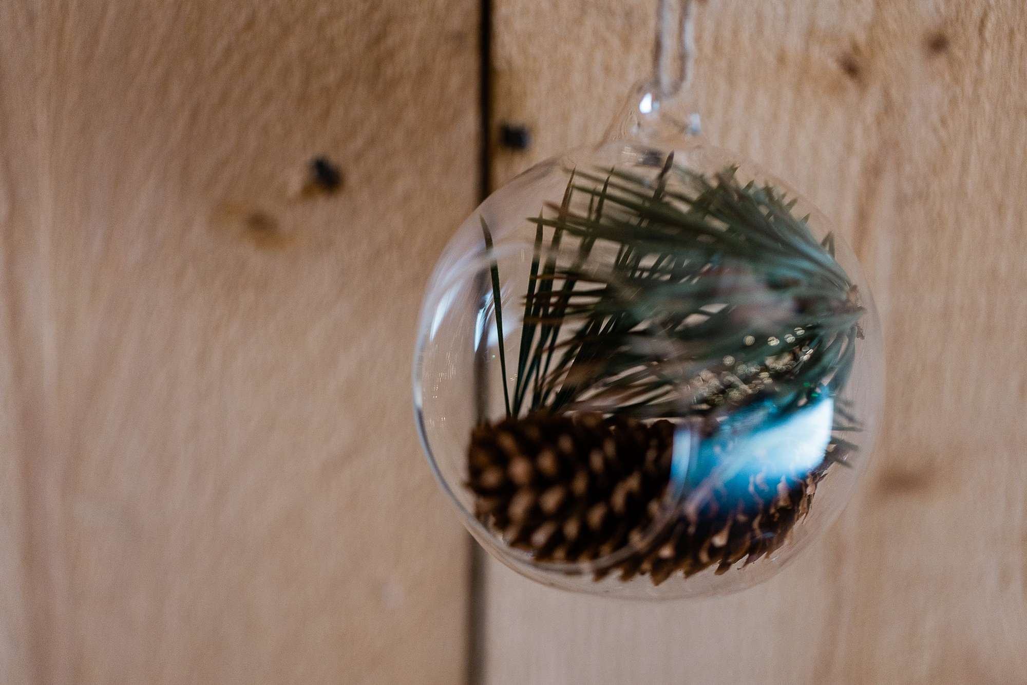 pine cone and pines in a terrarium glass bauble 