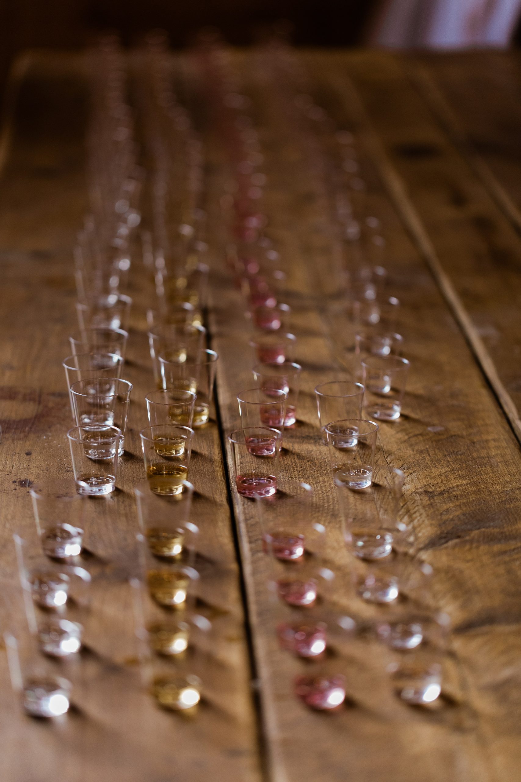 shot glasses with different colours of drinks in them